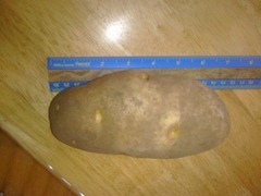 CIMG0130